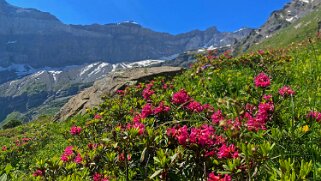 Col des Pauvres - Vallon de Nant Rando 2023