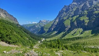 Vallon de Nant Rando 2023