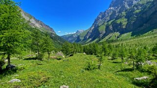 Vallon de Nant Rando 2023