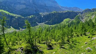 Vallon de Nant Rando 2023