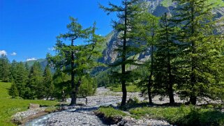 Vallon de Nant Rando 2023