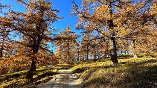 Col des Planches - La Crevasse null