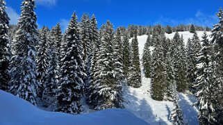 Les Diablerets Rando 2024