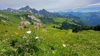 Chumigalm - Obersimmental Rando 2024