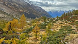 Lötschental Rando 2024