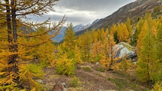 Lötschental Rando 2024