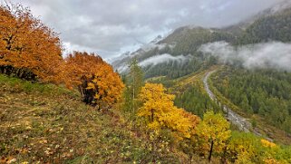 Lötschental Rando 2024