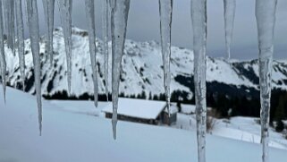 2024 Morgins