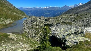 Augstbord - Mattertal Rando 2024