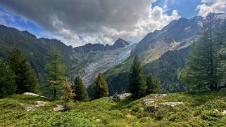 Glacier du Trient Rando 2024