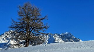Bavon - Val d'Entremont Rando 2024