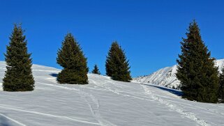 Bavon - Val d'Entremont Rando 2024