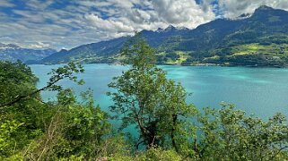 Walensee Rando 2024