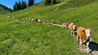 Mittelberg - Hundsrügg - Abländschen Rando 2025