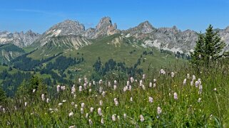 Mittelberg - Hundsrügg - Abländschen Rando 2025