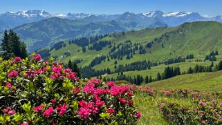 Mittelberg - Hundsrügg - Abländschen Rando 2025