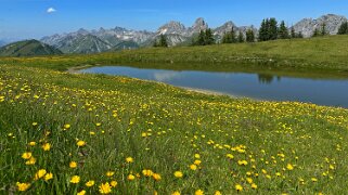 Mittelberg - Hundsrügg - Abländschen Rando 2025