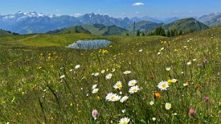 Mittelberg - Hundsrügg - Abländschen Rando 2025