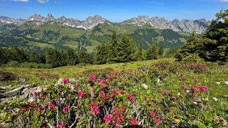 Mittelberg - Hundsrügg - Abländschen Rando 2025