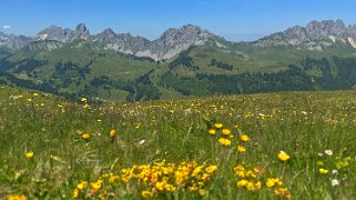Mittelberg - Hundsrügg - Abländschen Rando 2025