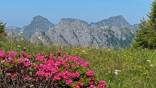 Mittelberg - Hundsrügg - Abländschen Rando 2025
