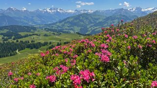 Mittelberg - Hundsrügg - Abländschen Rando 2025