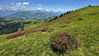 Mittelberg - Hundsrügg - Abländschen Rando 2025