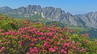 Mittelberg - Hundsrügg - Abländschen Rando 2025