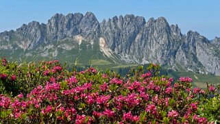 Mittelberg - Hundsrügg - Abländschen Rando 2025