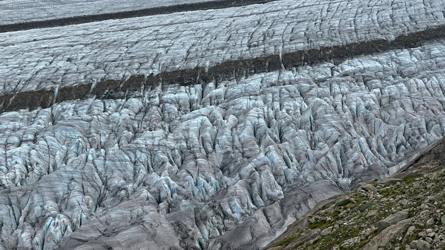 Glacier d'Aletsch Rando 2025
