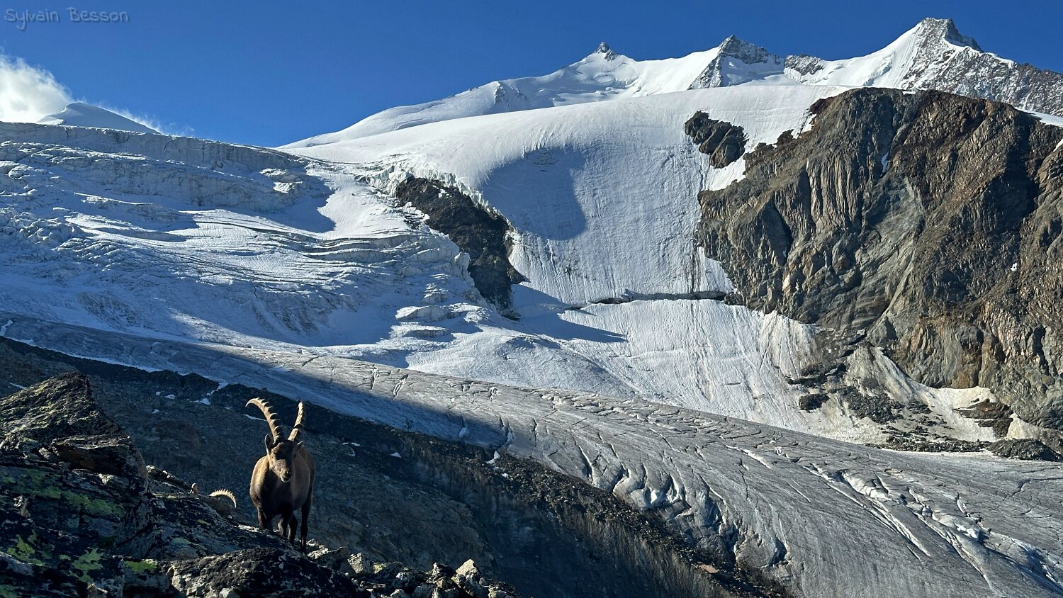 Riedgletscher Rando 2025