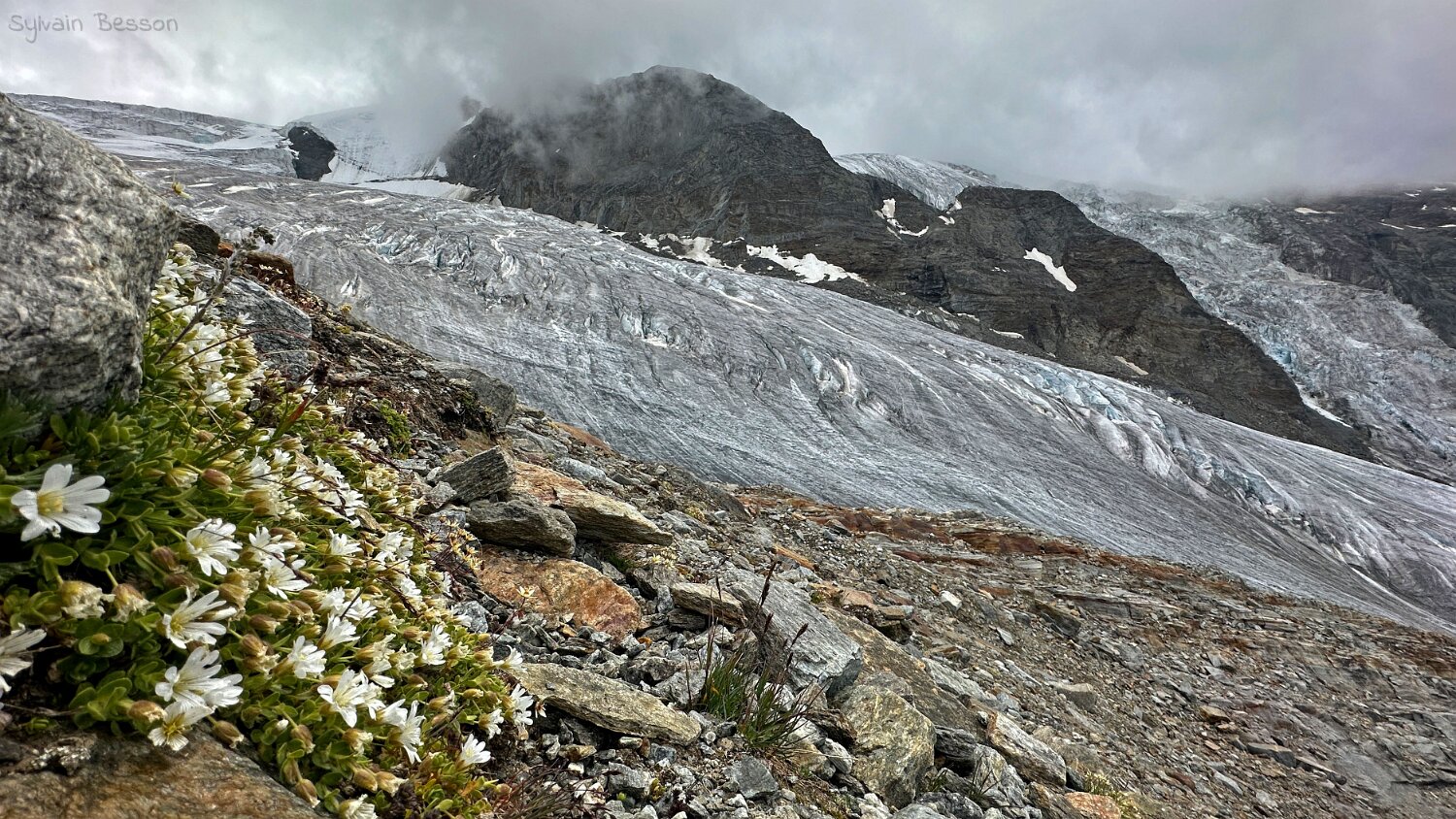 Riedgletscher Rando 2025