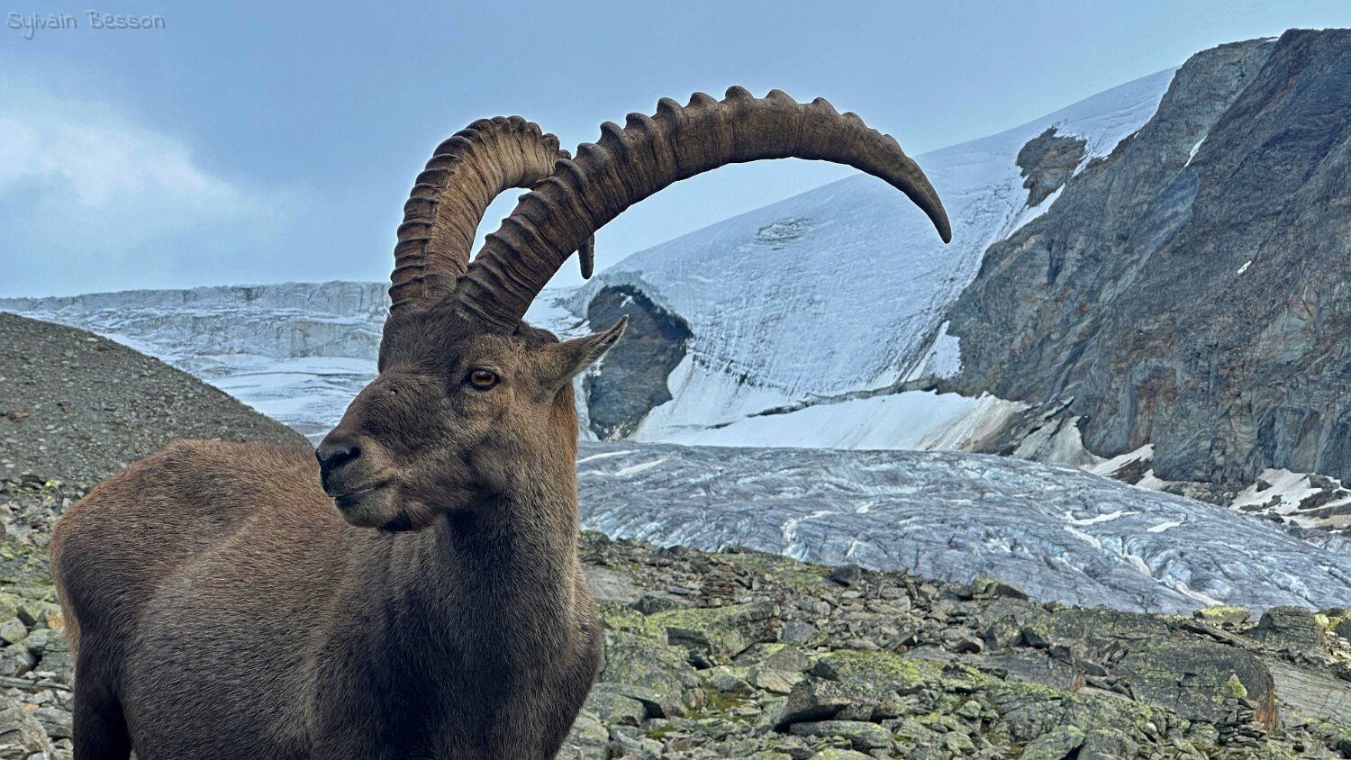 Riedgletscher Rando 2025