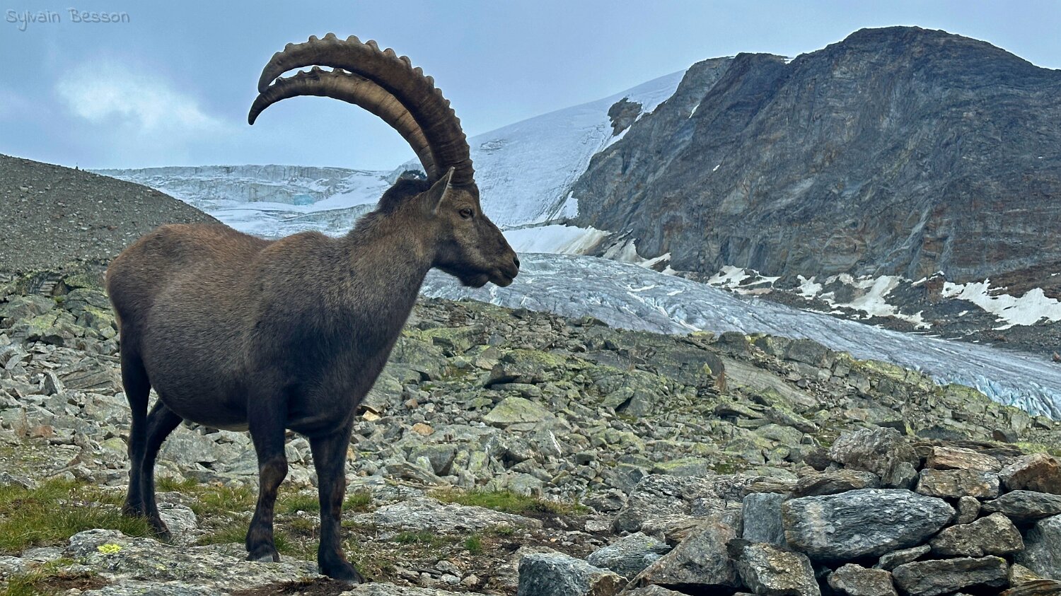 Riedgletscher Rando 2025
