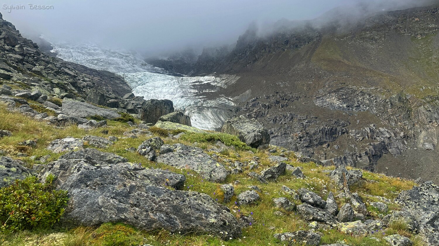 Riedgletscher Rando 2025