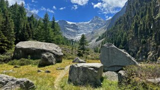Alpja Rando 2025
