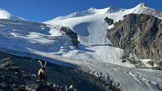 Riedgletscher Rando 2025