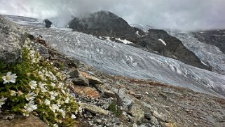 Riedgletscher Rando 2025