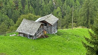 Gasenried null