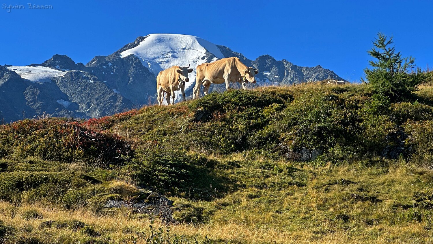 Brunet - Cabane FXB Panossière Rando 2025