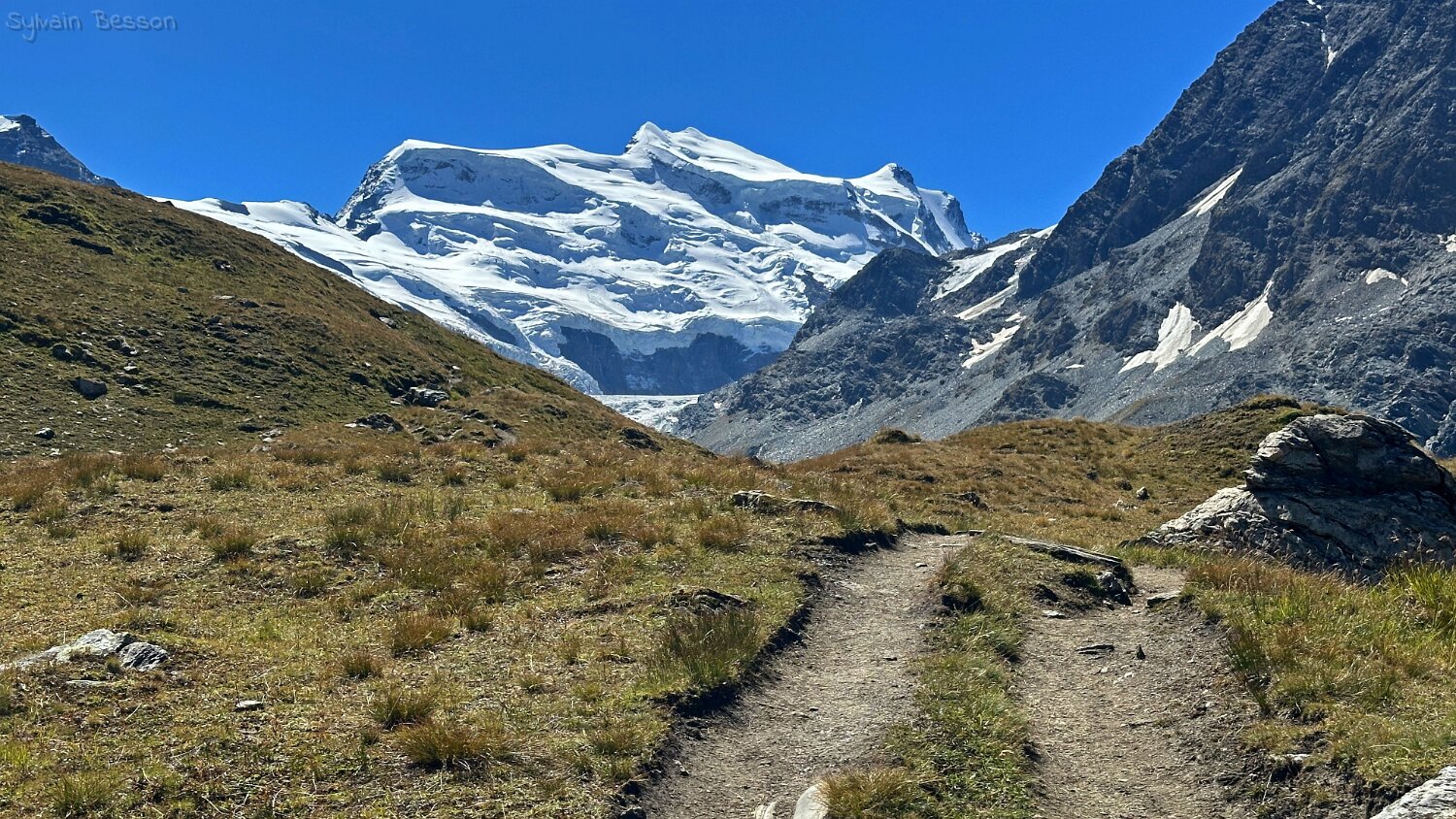 Grand Combin 4314 m Rando 2025