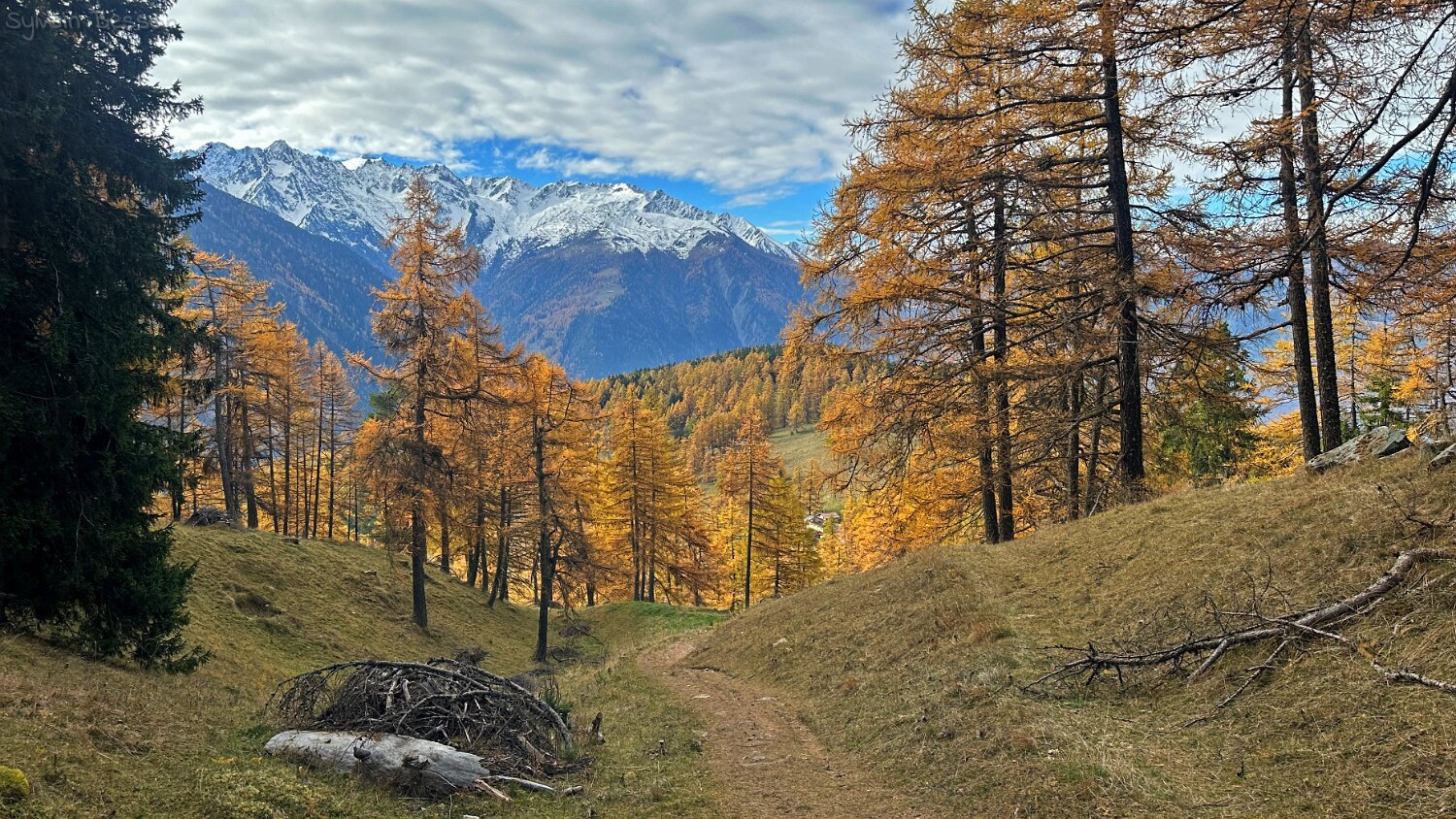 Col des Planches - La Crevasse Rando 2025