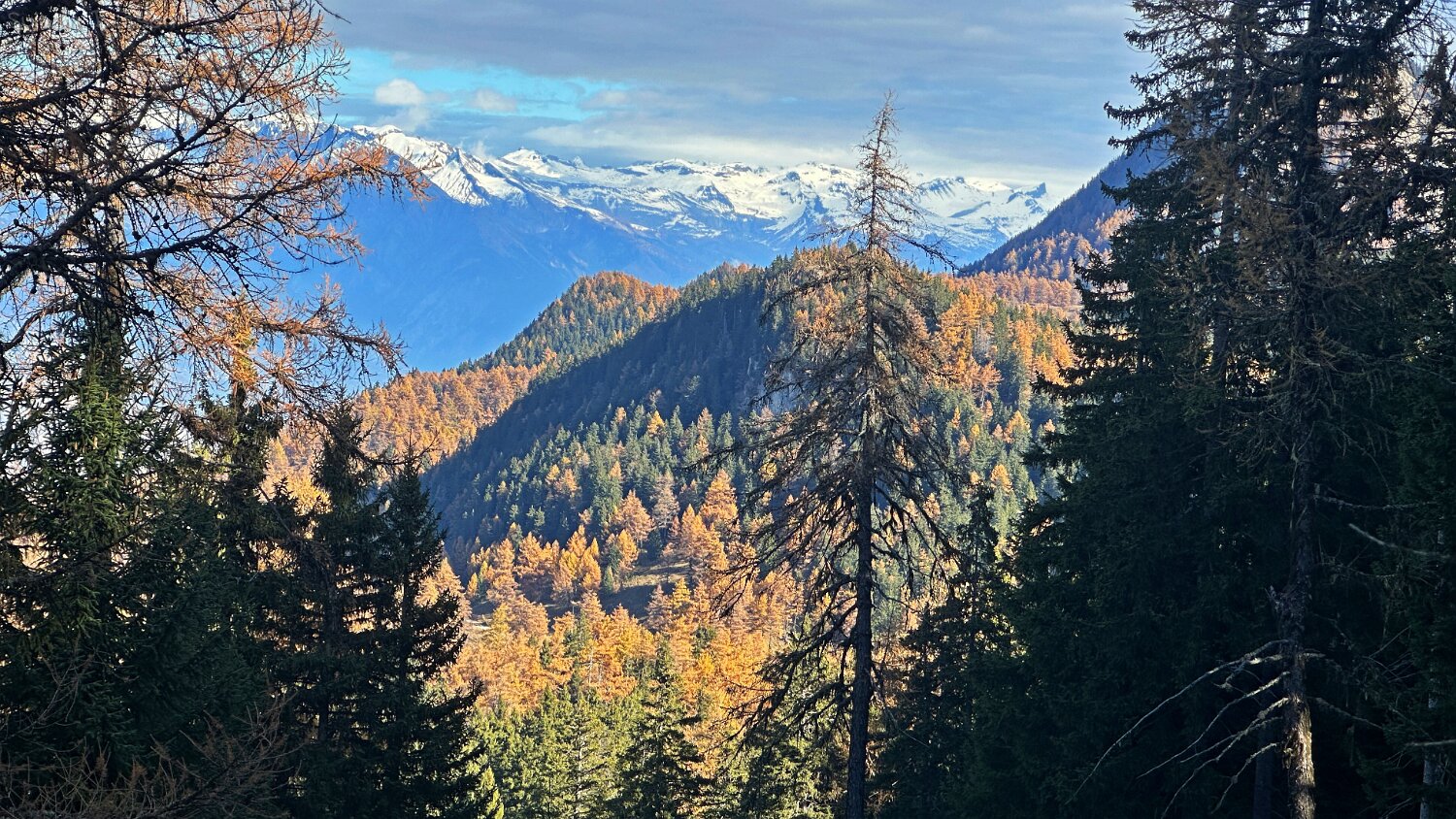 Col des Planches - La Crevasse Rando 2025