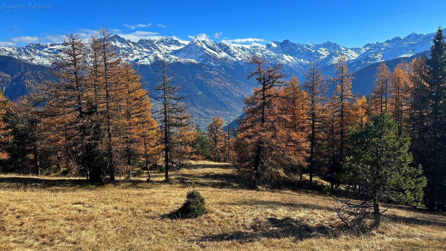 Col des Planches - La Crevasse Rando 2025