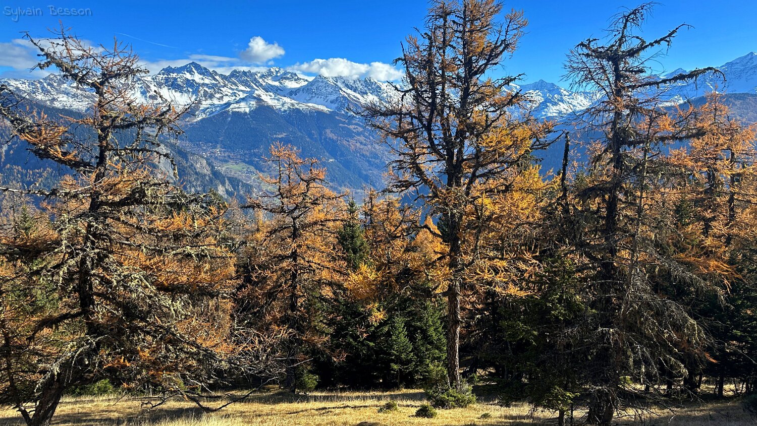 Col des Planches - La Crevasse Rando 2025