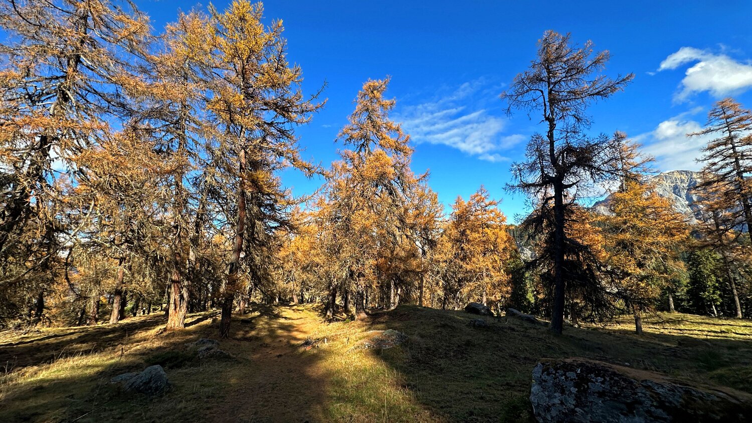 Col des Planches - La Crevasse Rando 2025