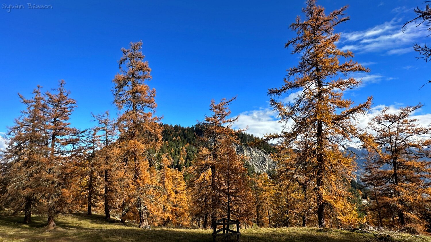 Col des Planches - La Crevasse Rando 2025