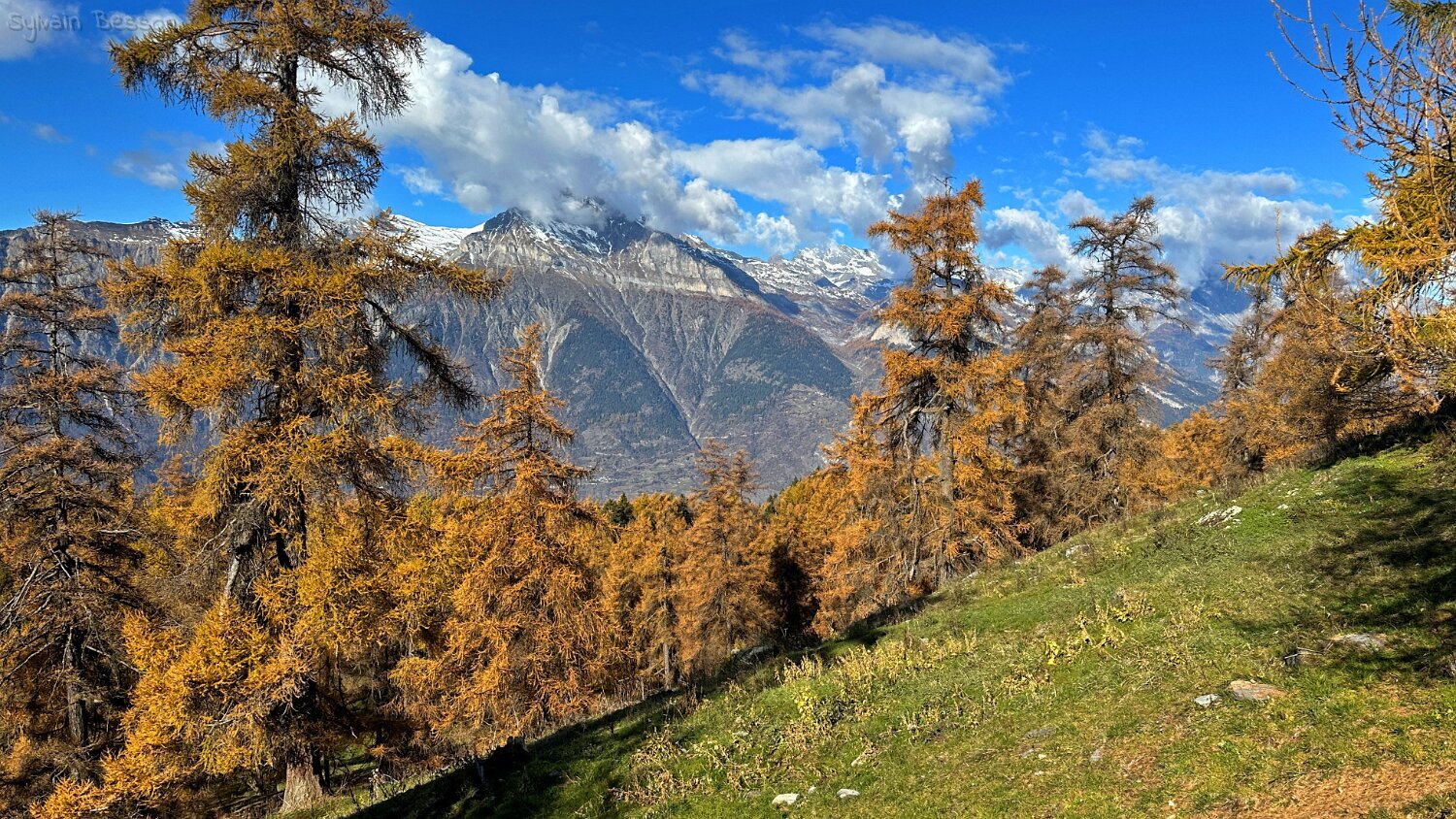 Col des Planches - La Crevasse Rando 2025