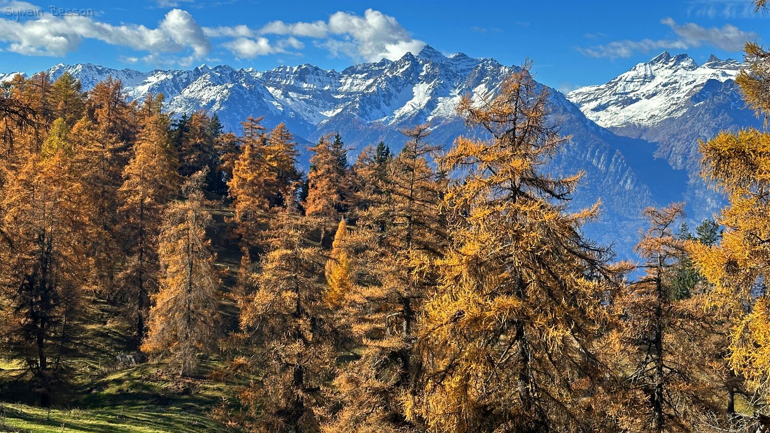 Col des Planches - La Crevasse Rando 2025