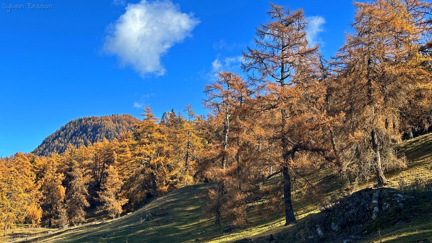 Col des Planches - La Crevasse Rando 2025